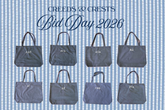 2026 Fall Sorority Bid Day Package