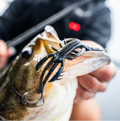 Crush City The Hedgehog 4"