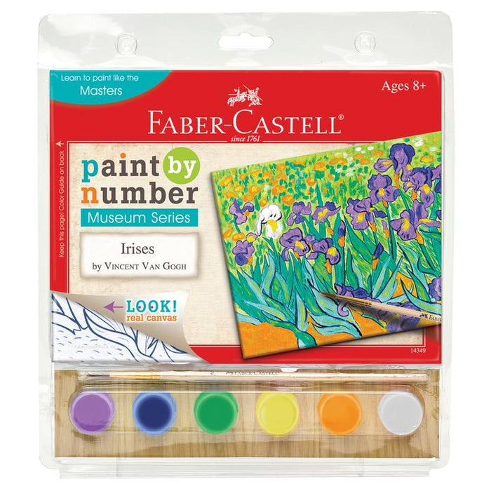 Paint by Number Irises