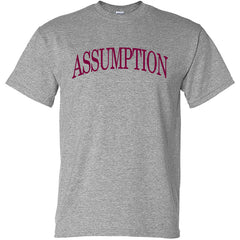 T-Shirt - Grey - Assumption Classic
