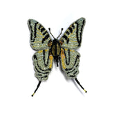 Trovelore Sequin Brooches