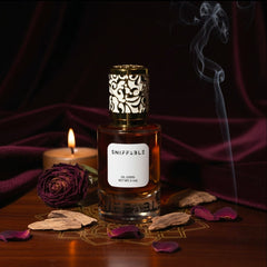 AMIRI OUD