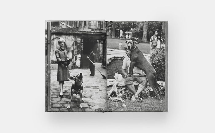 DogsDogs Elliott Erwitt