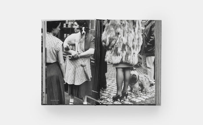 DogsDogs Elliott Erwitt