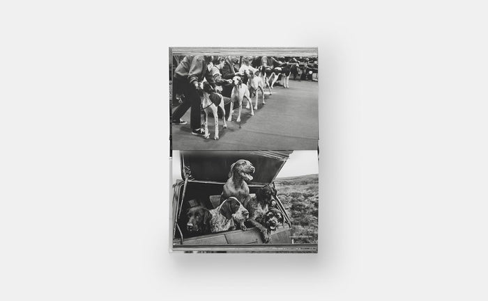 DogsDogs Elliott Erwitt