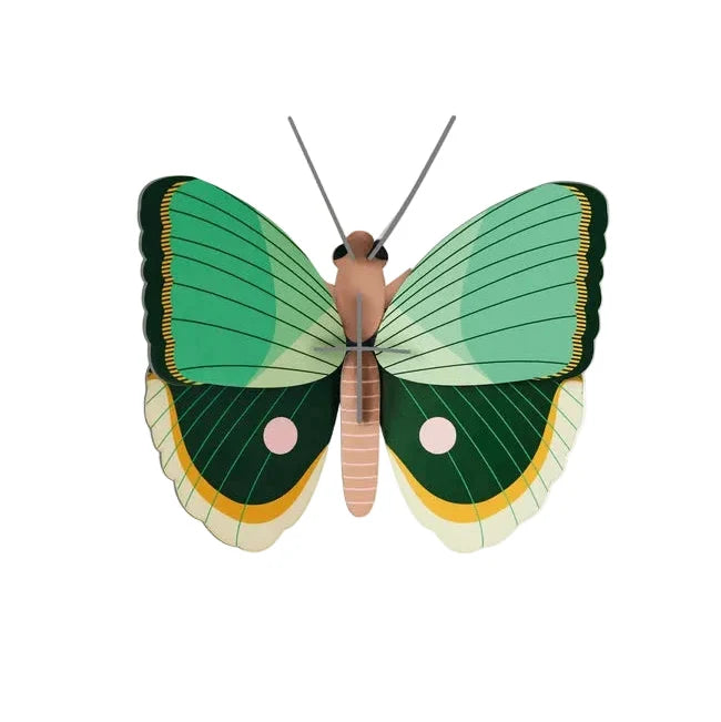 Fern Striped Butterfly Wall Decoration + Construction Kit