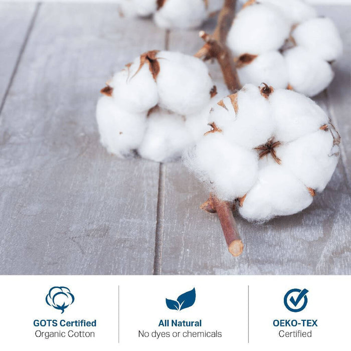 Organic Cotton Mattress Encasement for Allergies, Dust Mites & Sensitive Skin | AllergyCare™