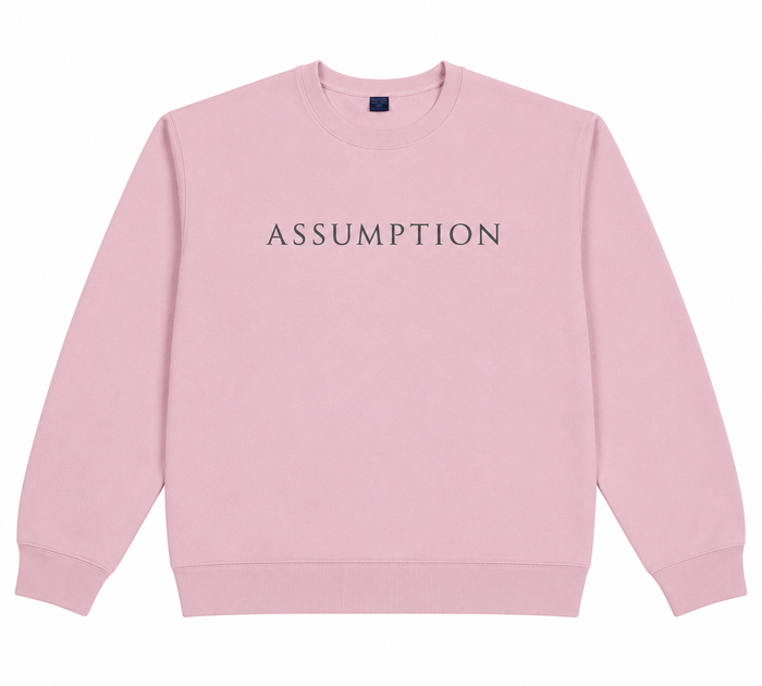 Pink Sweatshirt Assumption Grey