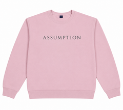 Pink Sweatshirt Assumption Grey