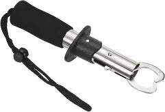 Pioneer Lip Grip