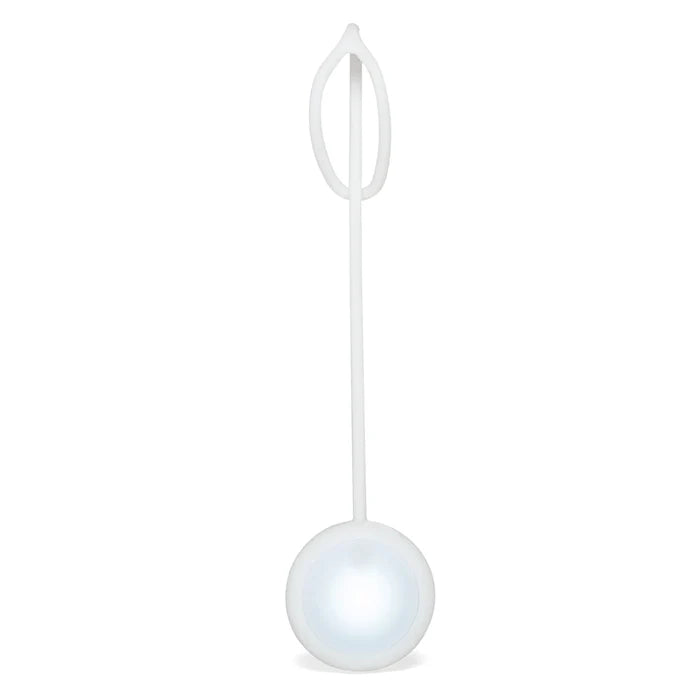 Rechargeable Purse Light