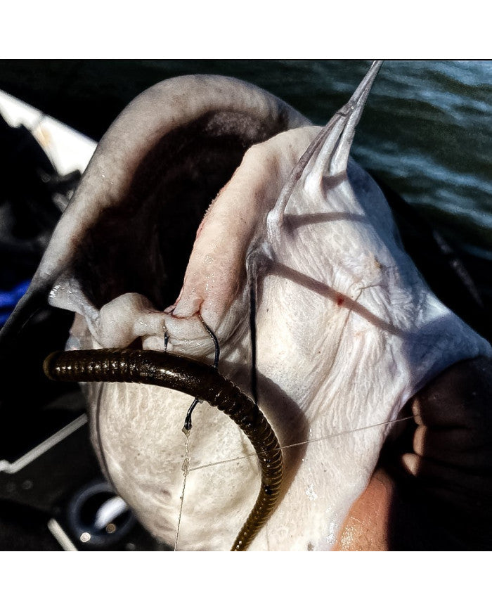 Spearpoint GP Finesse Hook