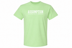 T-shirt Lt Green Assumption