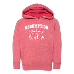 Toddler/Youth Hoodie - Rockets