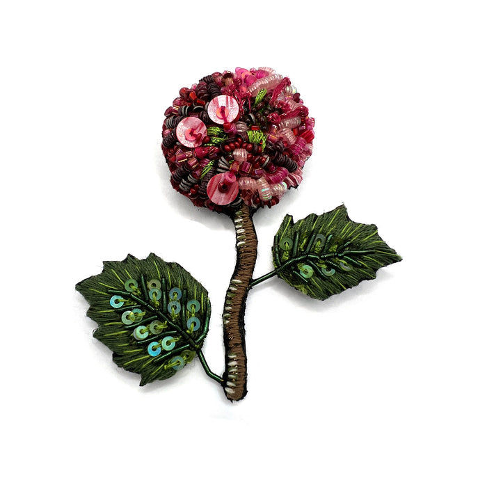 French Hydrangea