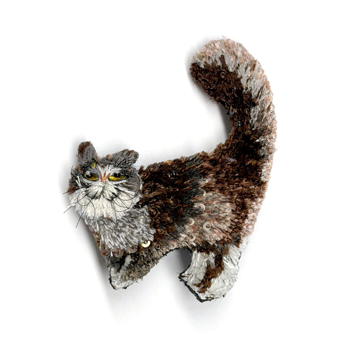 Fluffy Cat