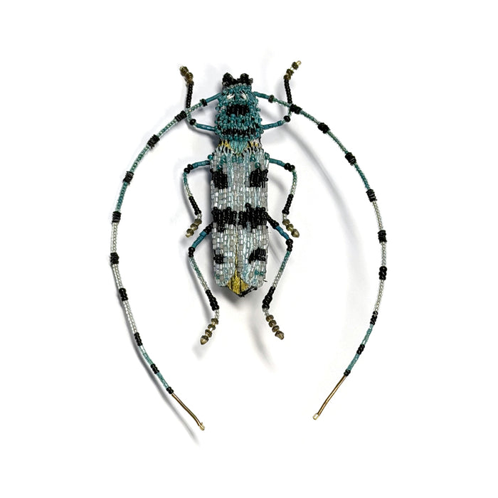 Alpine Longhorn Beetle