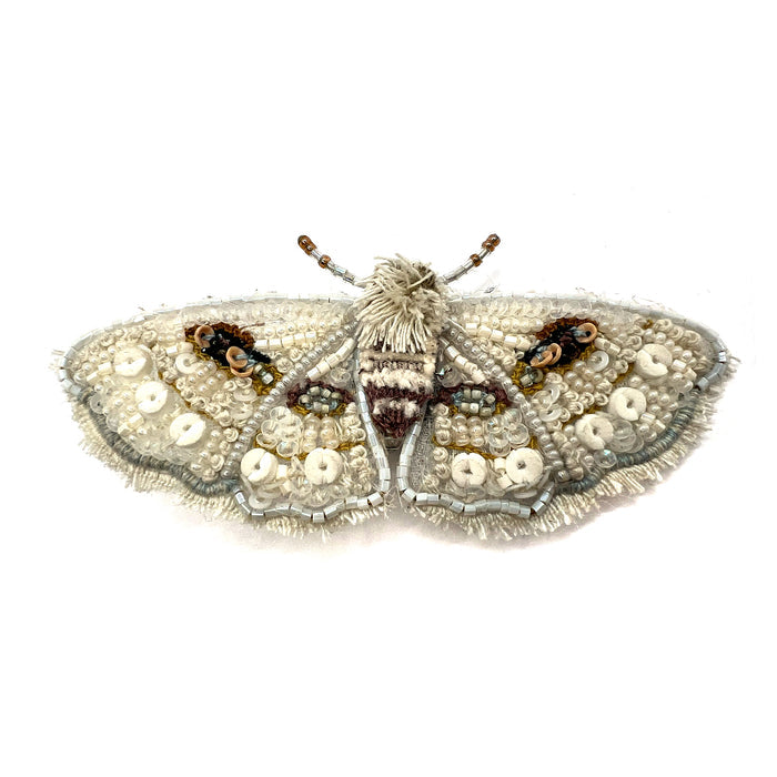 White Spring Moth