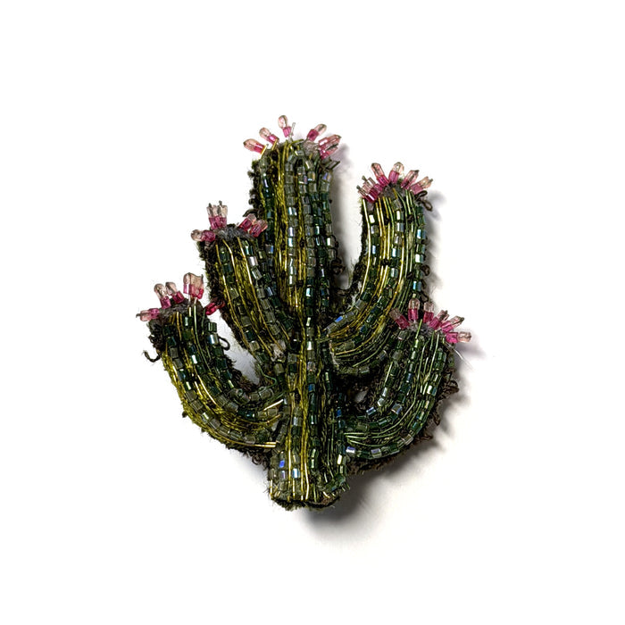 Blooming Desert Cactus