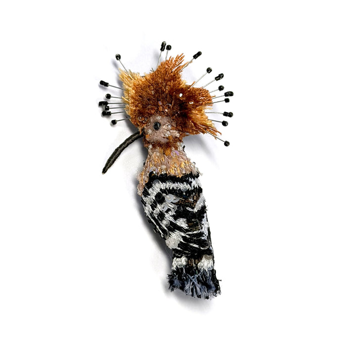 Eurasian Hoopoe